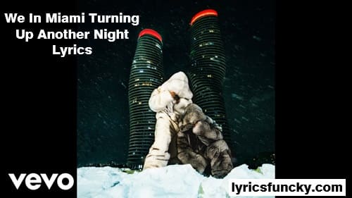 We In Miami Turning Up Another Night Lyrics