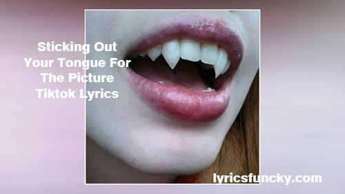 Sticking Out Your Tongue For The Picture Tiktok Lyrics